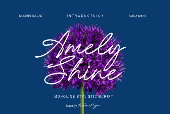 Amely Shine: A Font That Elevates Your Brand