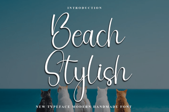 Beach Stylish: A Warm Font for Business Branding